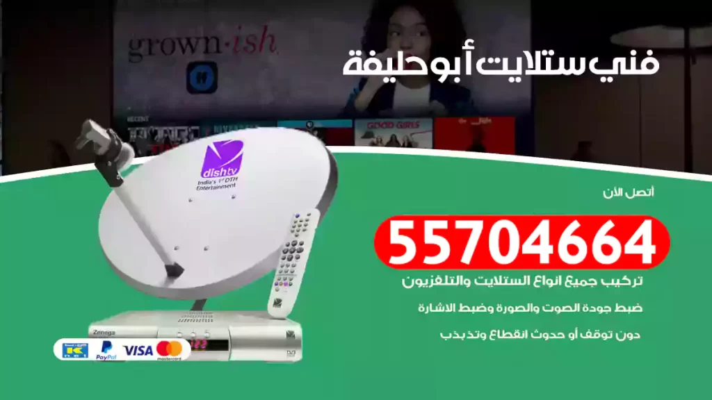 فني ستلايت أبو حليفة