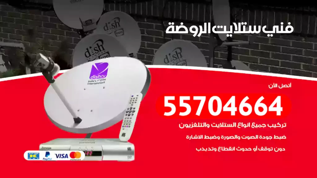 فني ستلايت الروضة