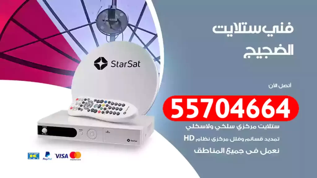 فني ستلايت الضجيج