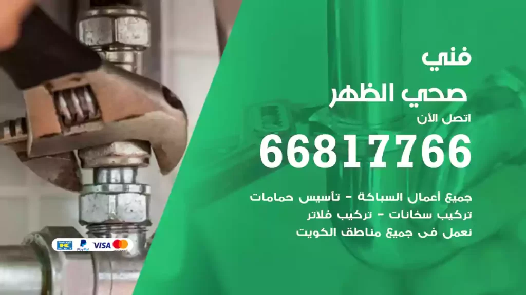 فني صحي الظهر