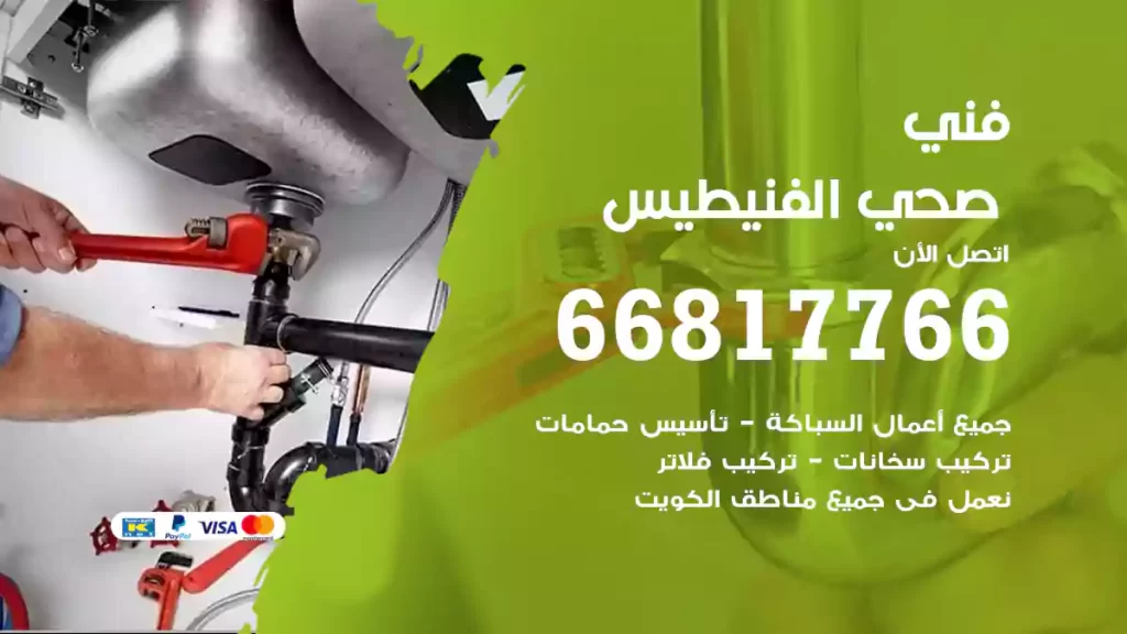فني صحي الفنيطيس